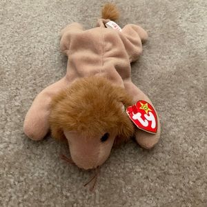 Ty Beanie Baby Roary